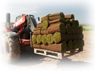 We use a kermac semi-automatic harvester to lift and roll the turfs.