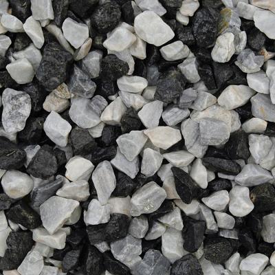 Black and White Chippings - 
