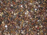 Scottish Moray Pebbles 14-20mm